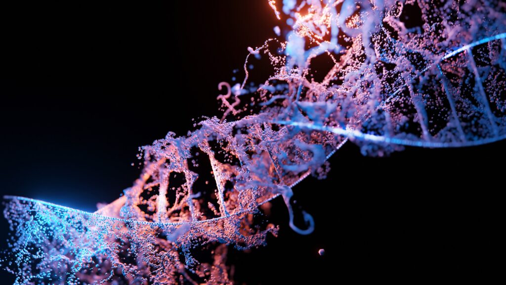 Genetic Correlation of ED